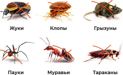 Pest Reject - Отпугиватель тараканов грызунов и насекомых